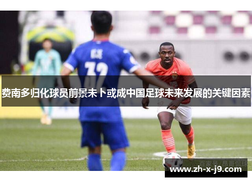 费南多归化球员前景未卜或成中国足球未来发展的关键因素 费南多归化球员前景未卜或成中国足球未来发展的关键因素