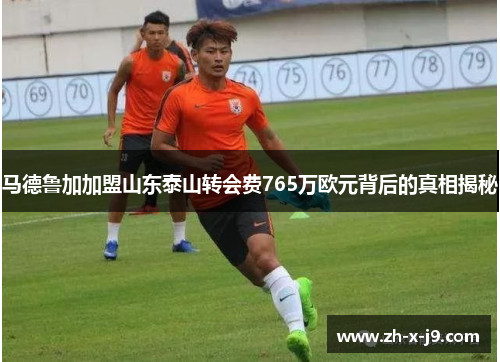 马德鲁加加盟山东泰山转会费765万欧元背后的真相揭秘