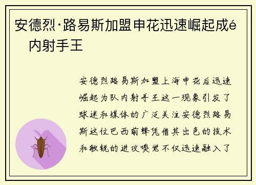 安德烈·路易斯加盟申花迅速崛起成队内射手王 安德烈·路易斯加盟申花迅速崛起成队内射手王