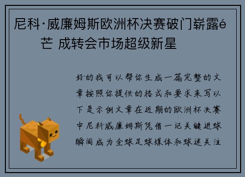 尼科·威廉姆斯欧洲杯决赛破门崭露锋芒 成转会市场超级新星 尼科·威廉姆斯欧洲杯决赛破门崭露锋芒 成转会市场超级新星